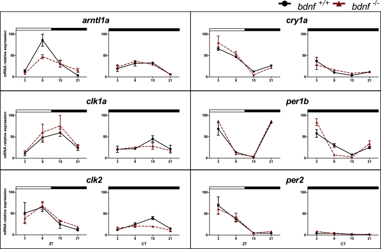 Figure 4