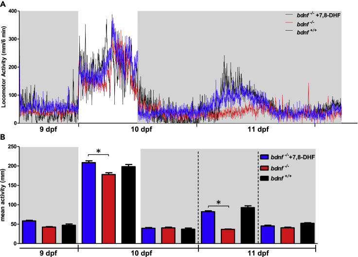 Figure 7