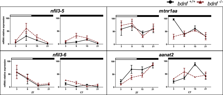 Figure 5