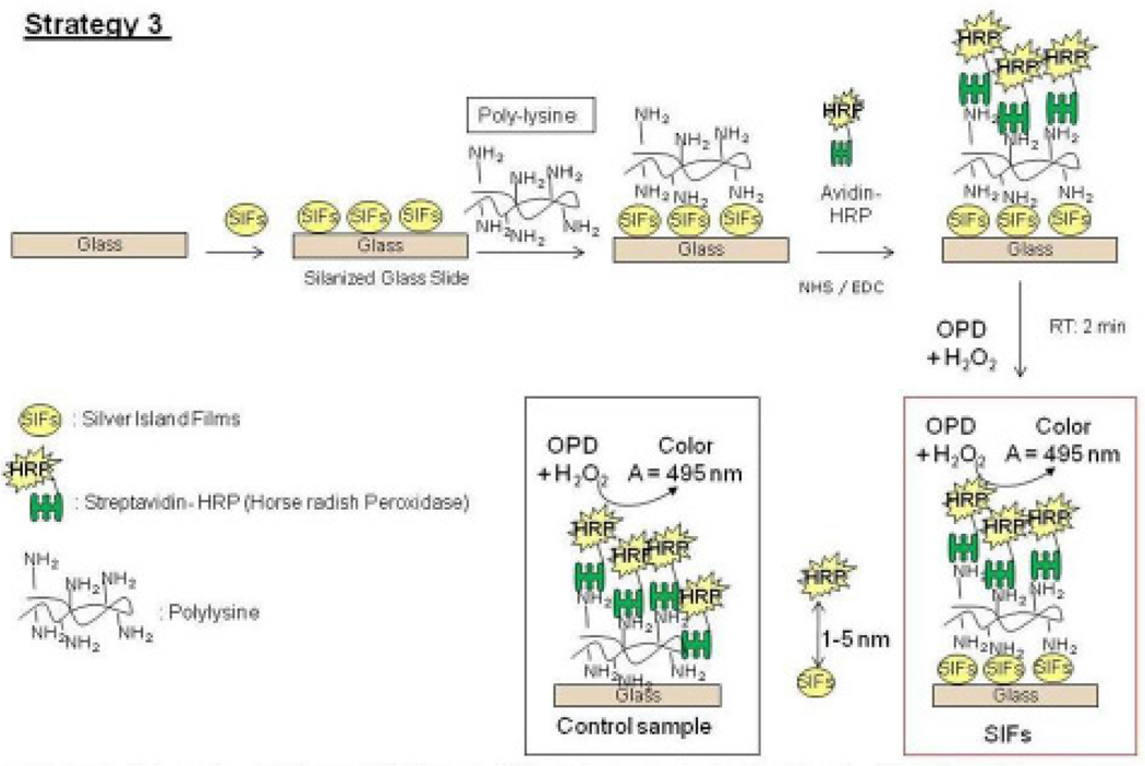 Scheme 3