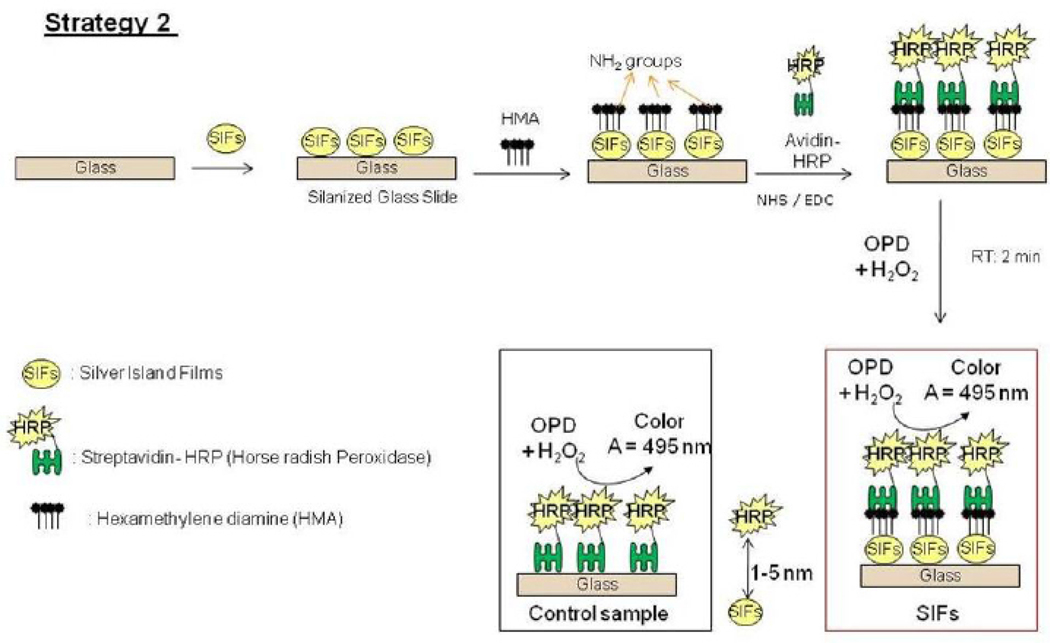 Scheme 2