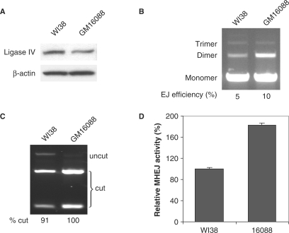 Figure 7.