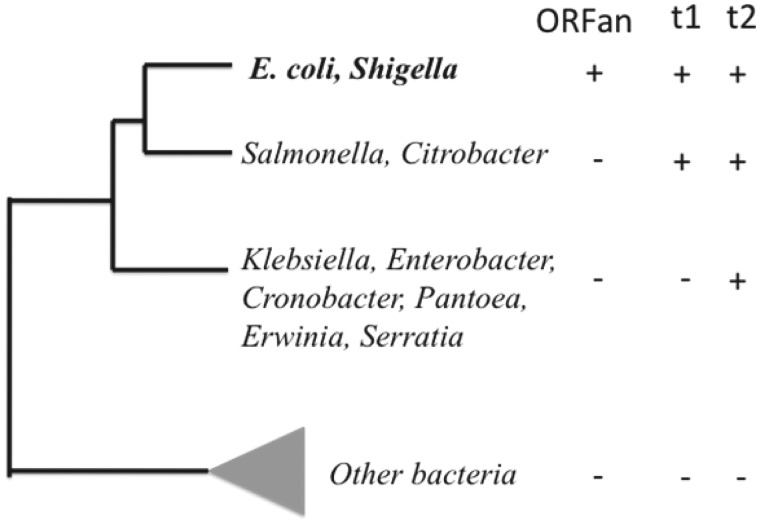 Fig. 1.—