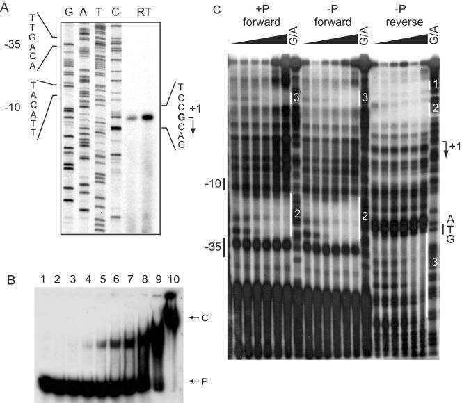 FIG. 7.