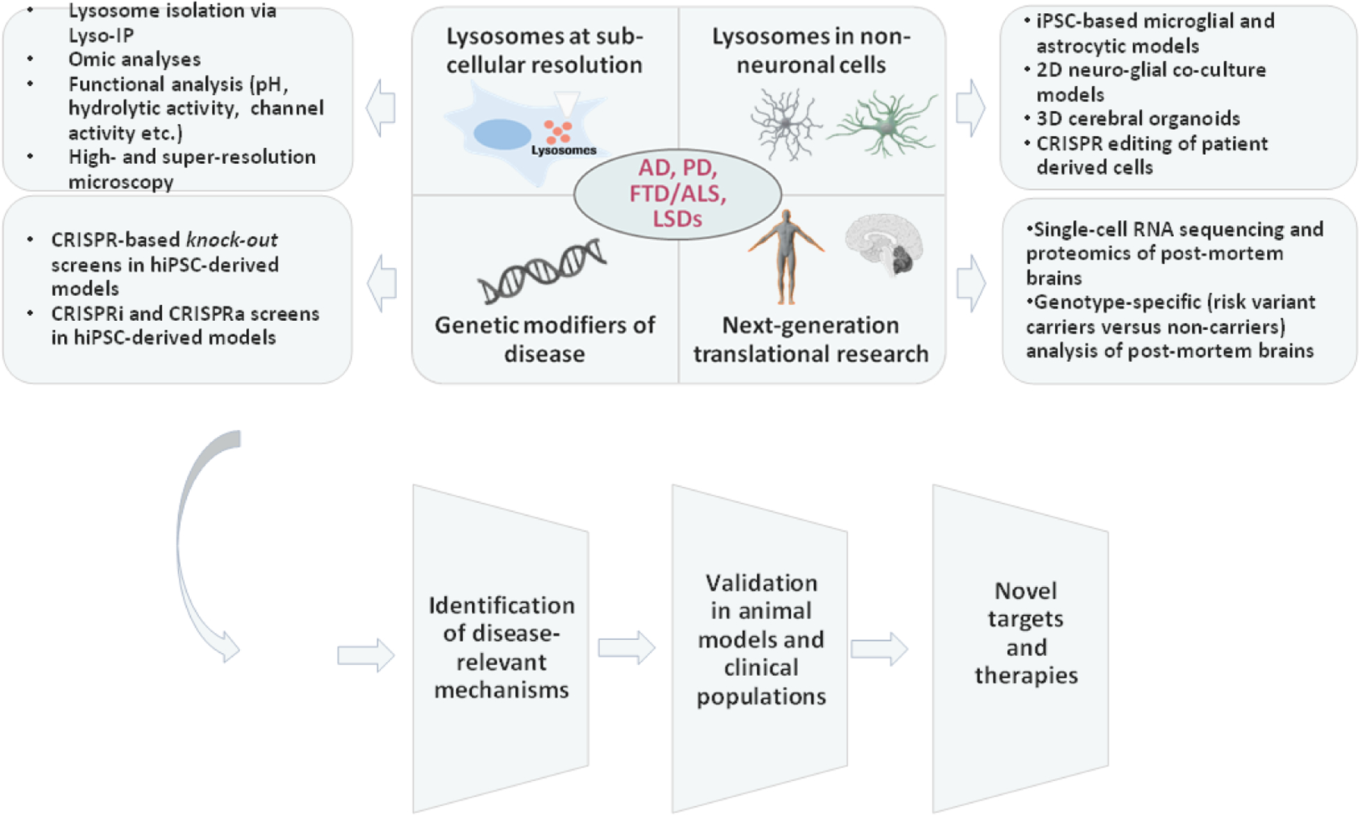 Figure 2: