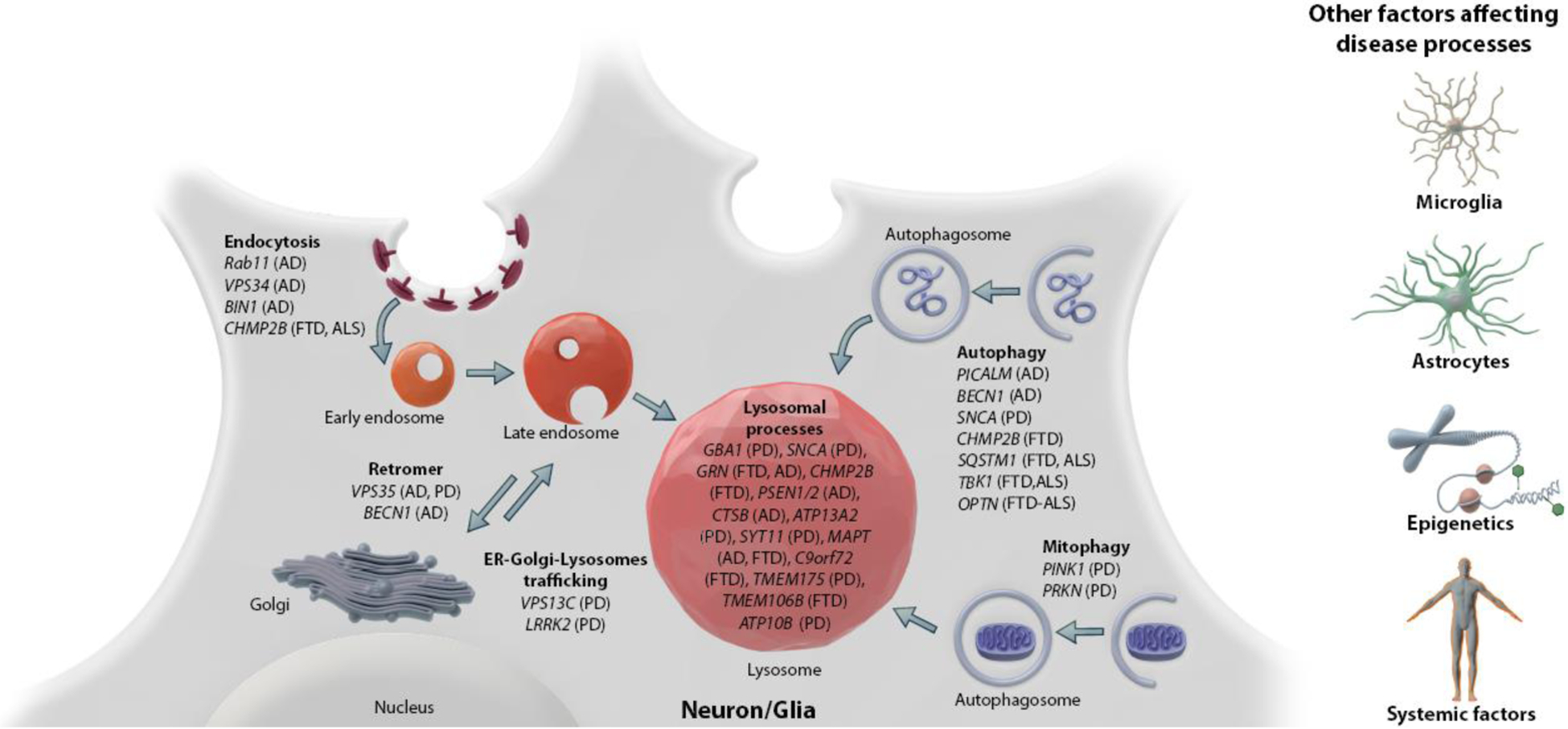 Figure 1: