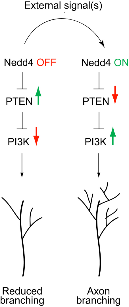 Figure 9