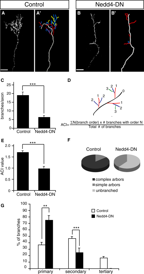 Figure 3