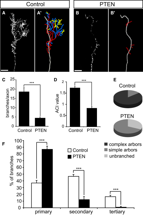 Figure 6