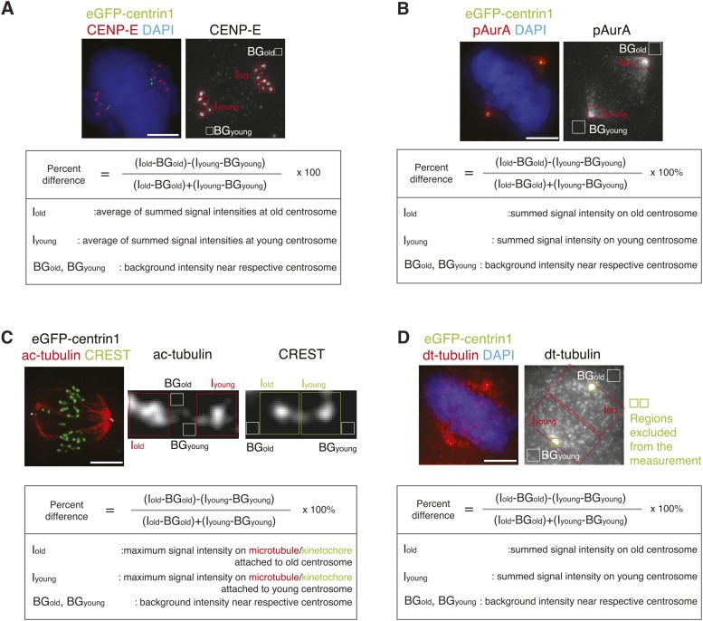 Figure 3—figure supplement 1.