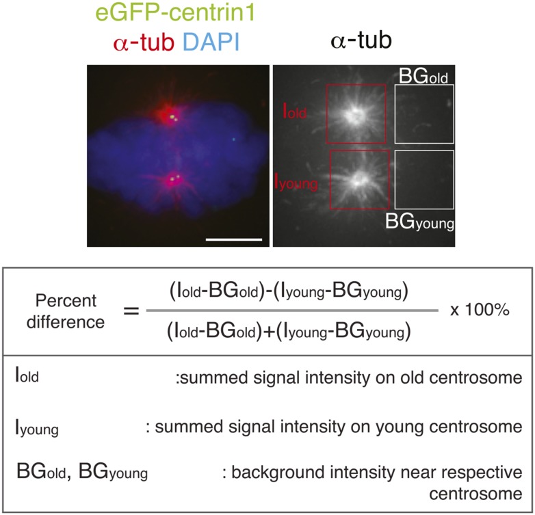 Figure 2—figure supplement 2.