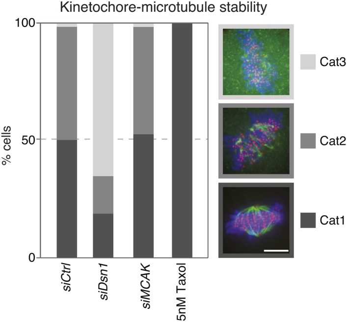 Figure 3—figure supplement 3.