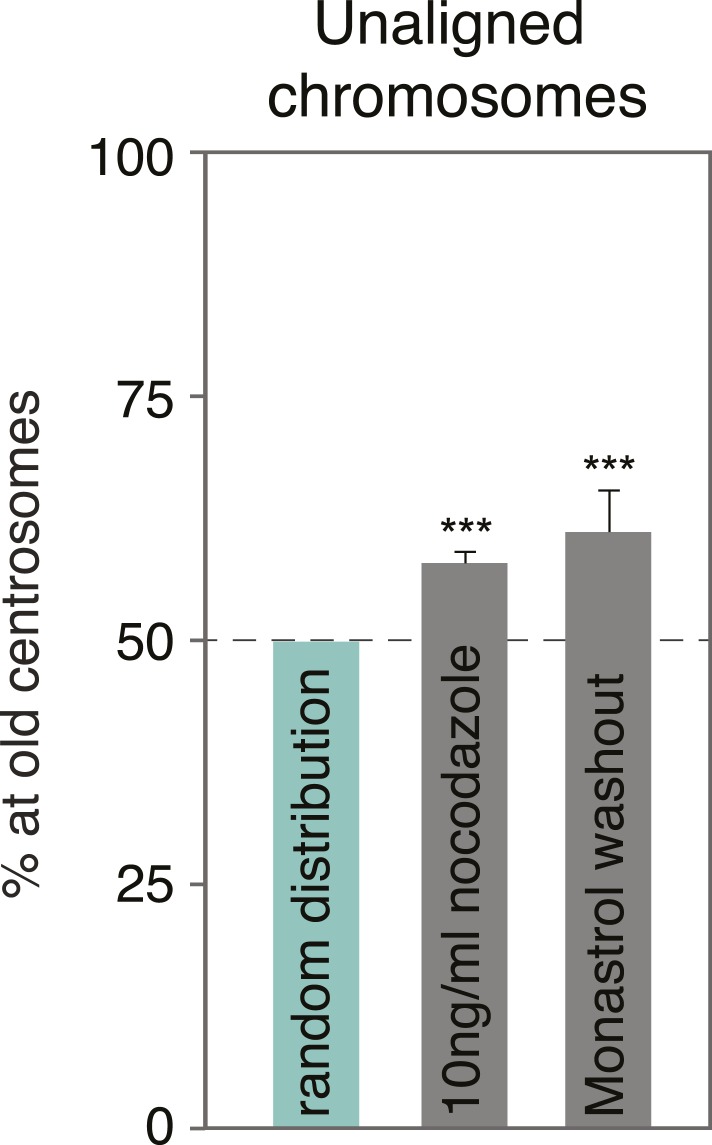 Figure 2—figure supplement 1.