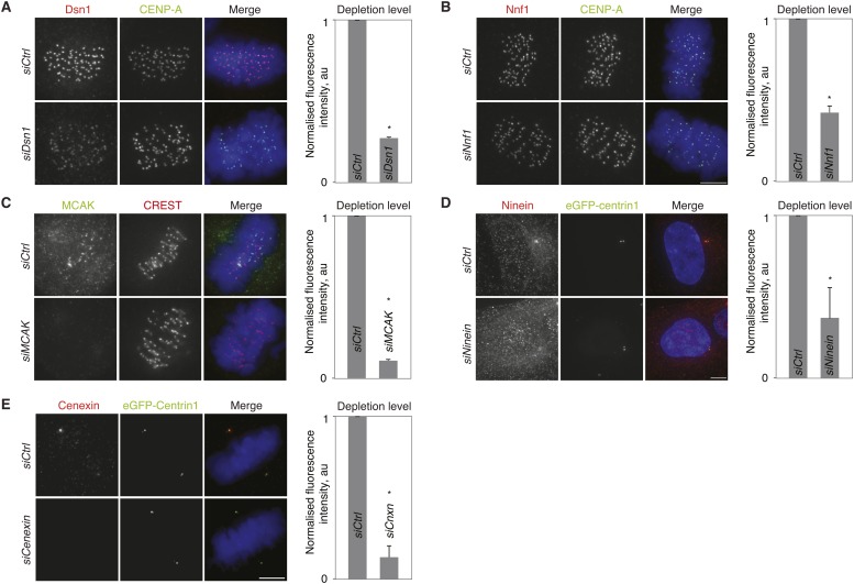 Figure 3—figure supplement 4.