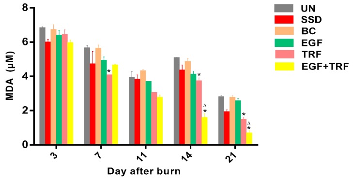 Figure 7