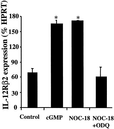 Fig 5.