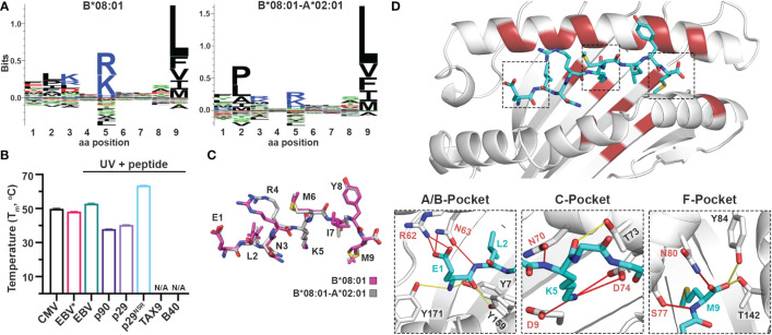 Figure 4