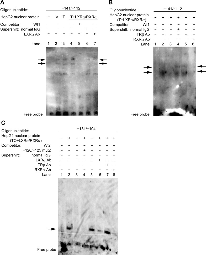 Fig 5