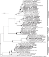 FIG 1