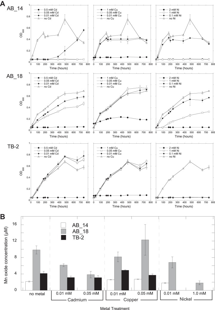 FIG 2