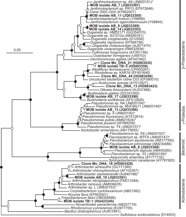 FIG 1