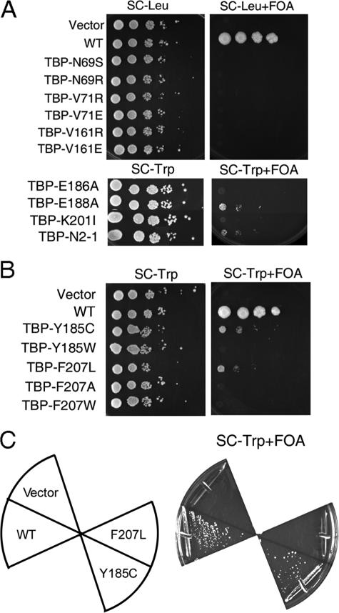 FIGURE 2.