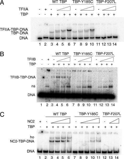 FIGURE 4.