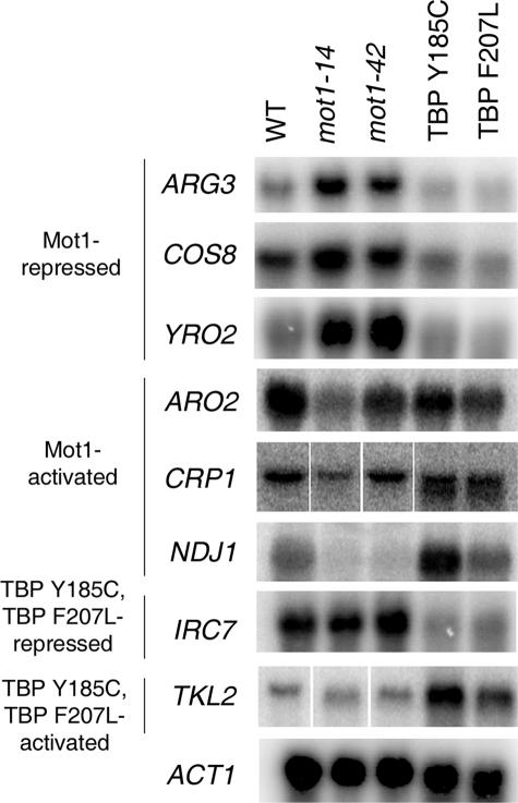 FIGURE 6.