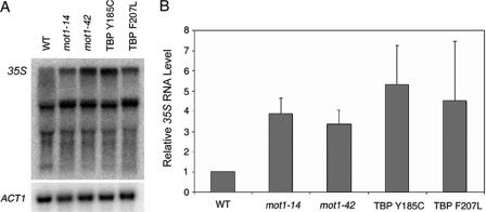 FIGURE 7.