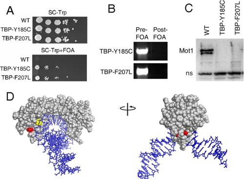 FIGURE 1.