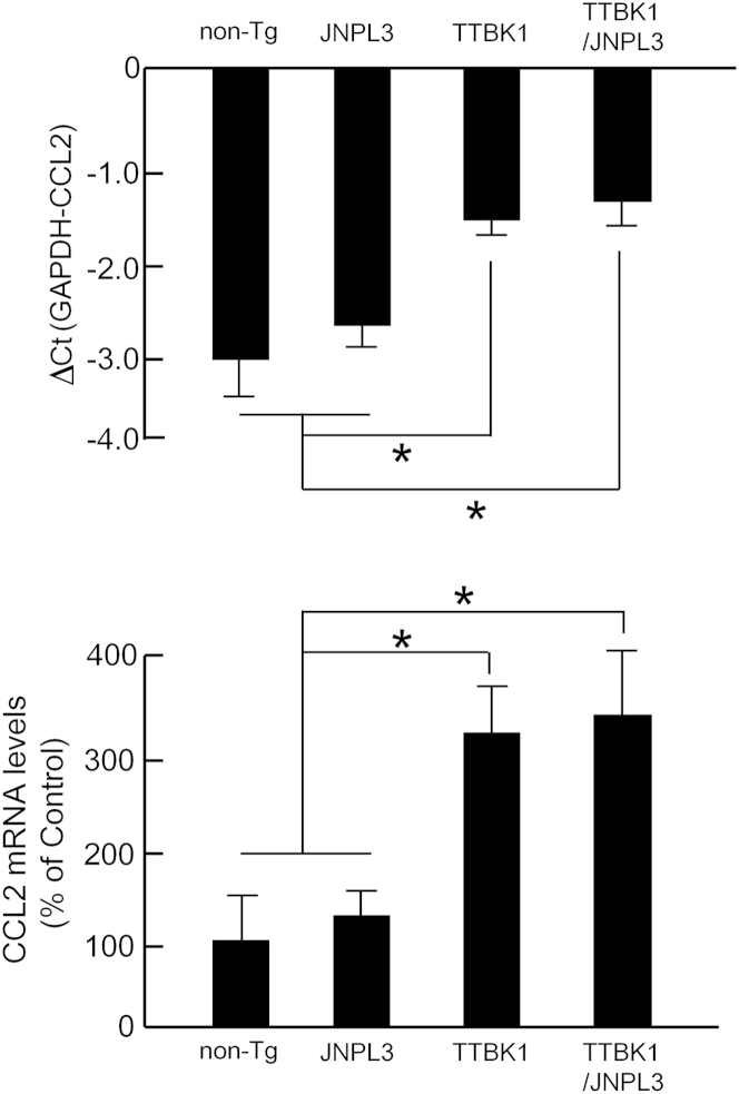 Figure 5