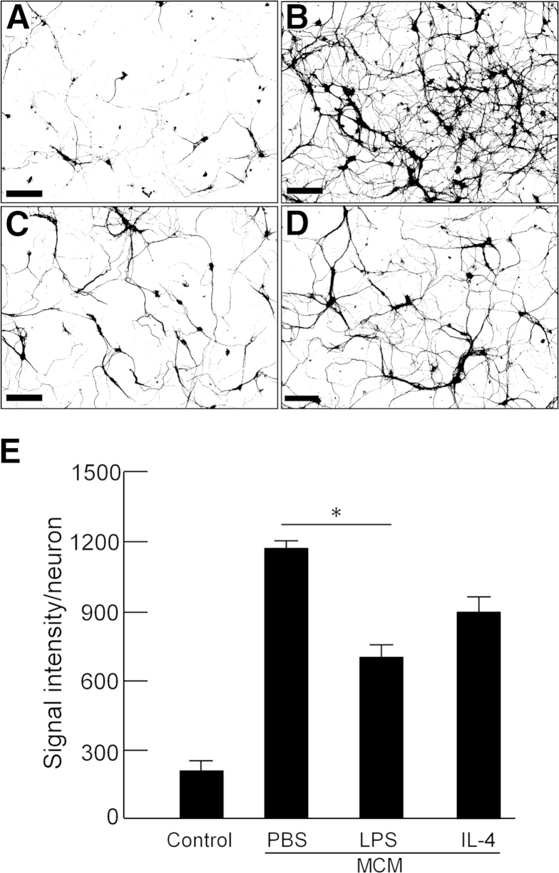 Figure 7