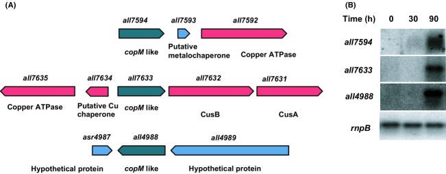 Figure 9