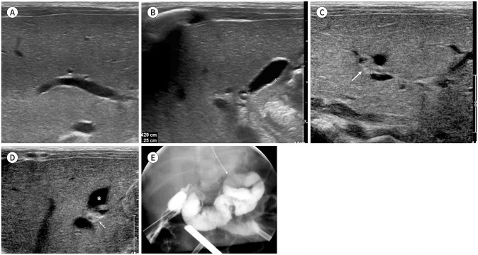 Fig. 8