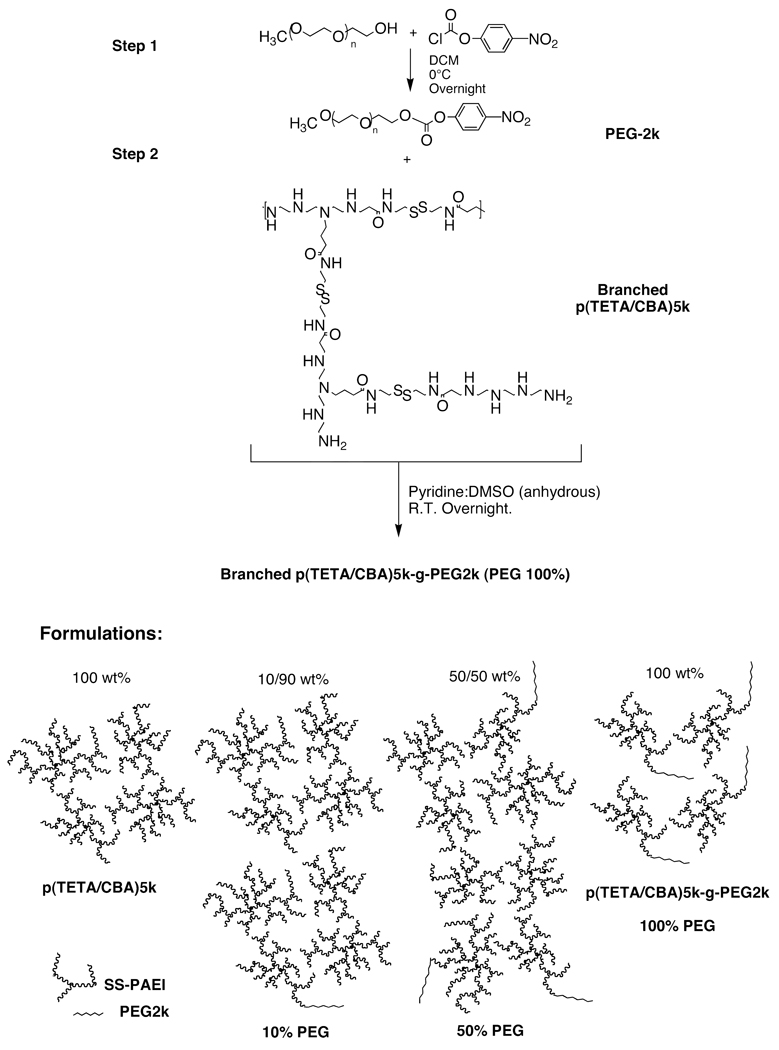 Scheme 2