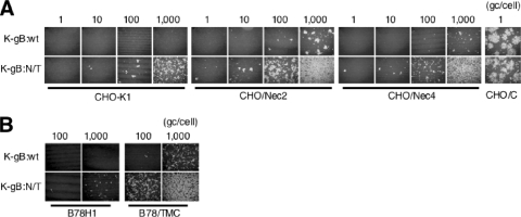 FIG. 4.