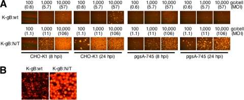 FIG. 2.