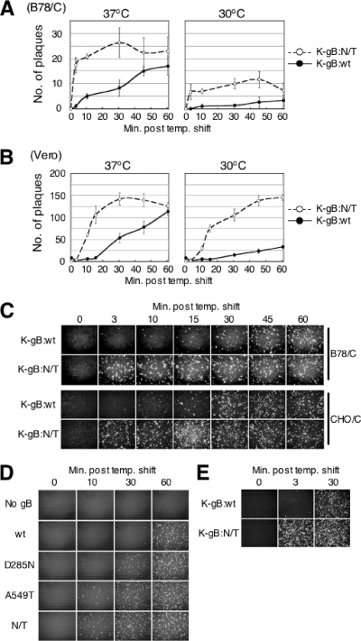 FIG. 6.