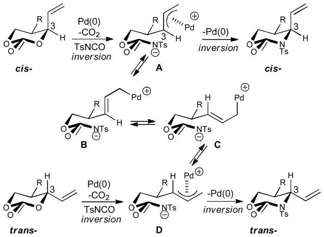 Scheme 76