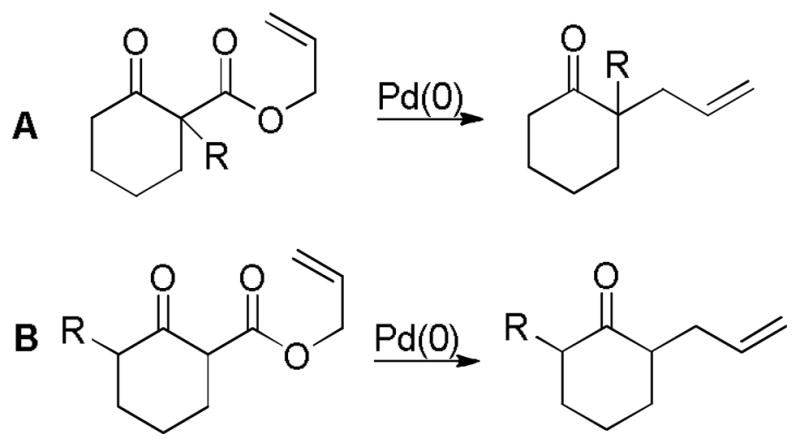 Scheme 5