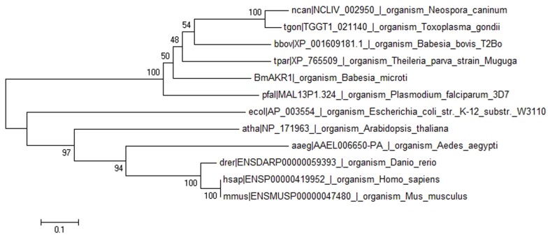 FIGURE 1