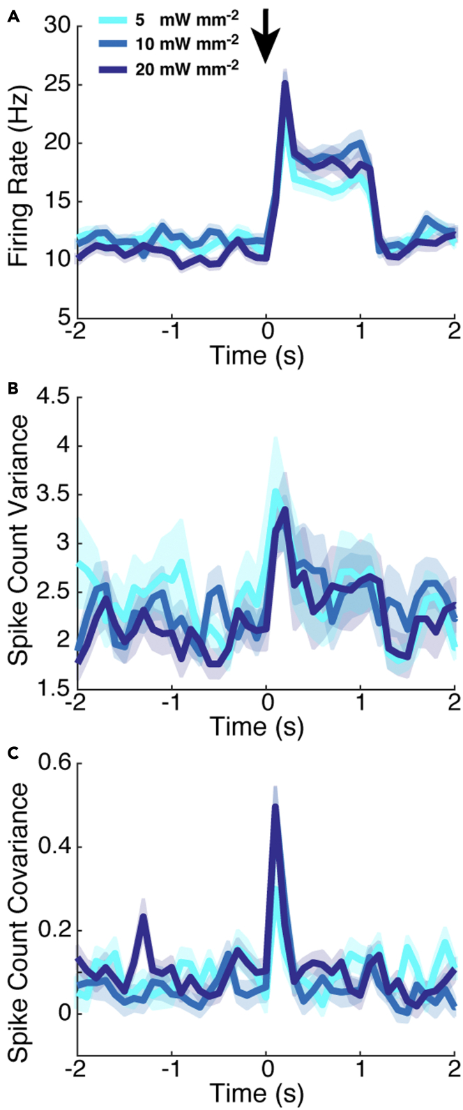 Figure 7