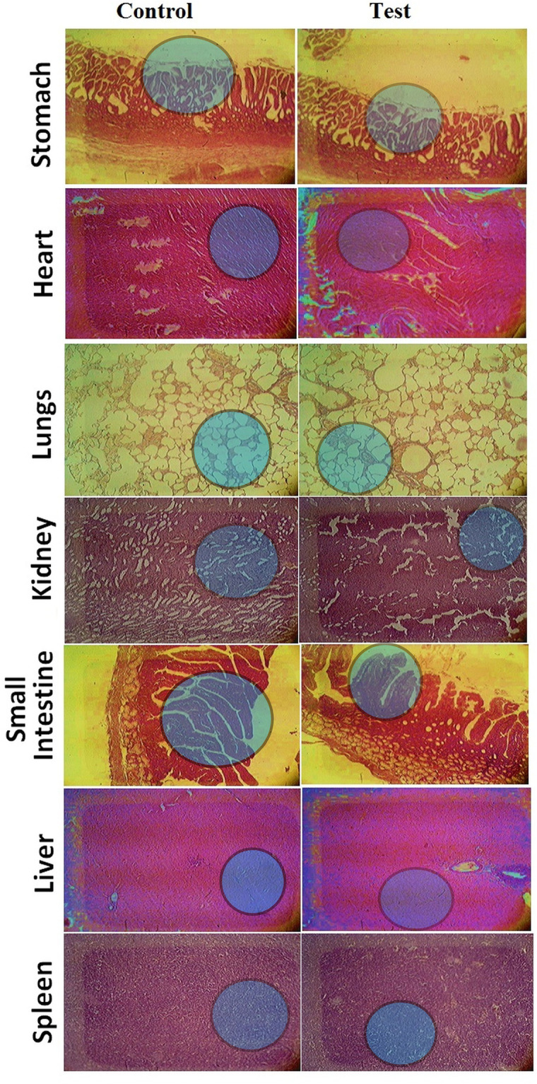 Fig 9