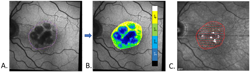 Figure 3: