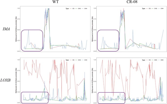 Figure 15