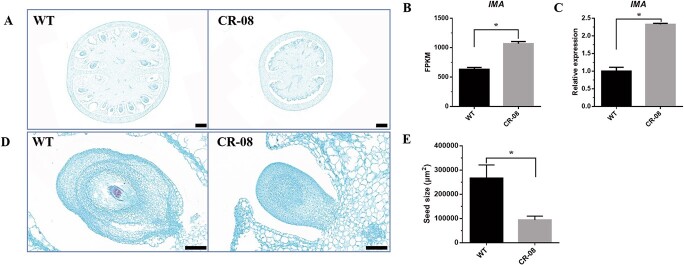 Figure 10