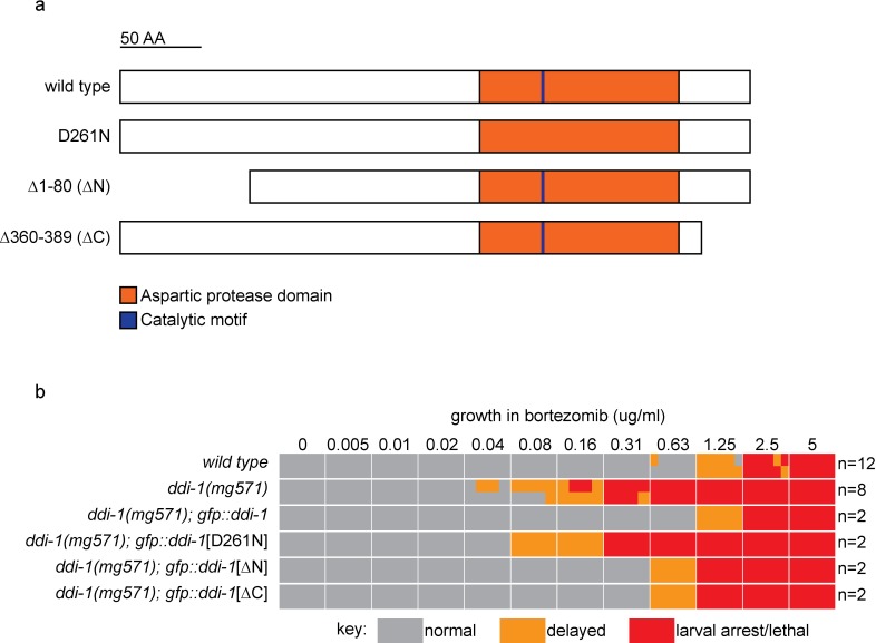 Figure 5—figure supplement 1.