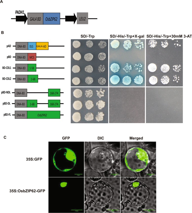 Fig. 2