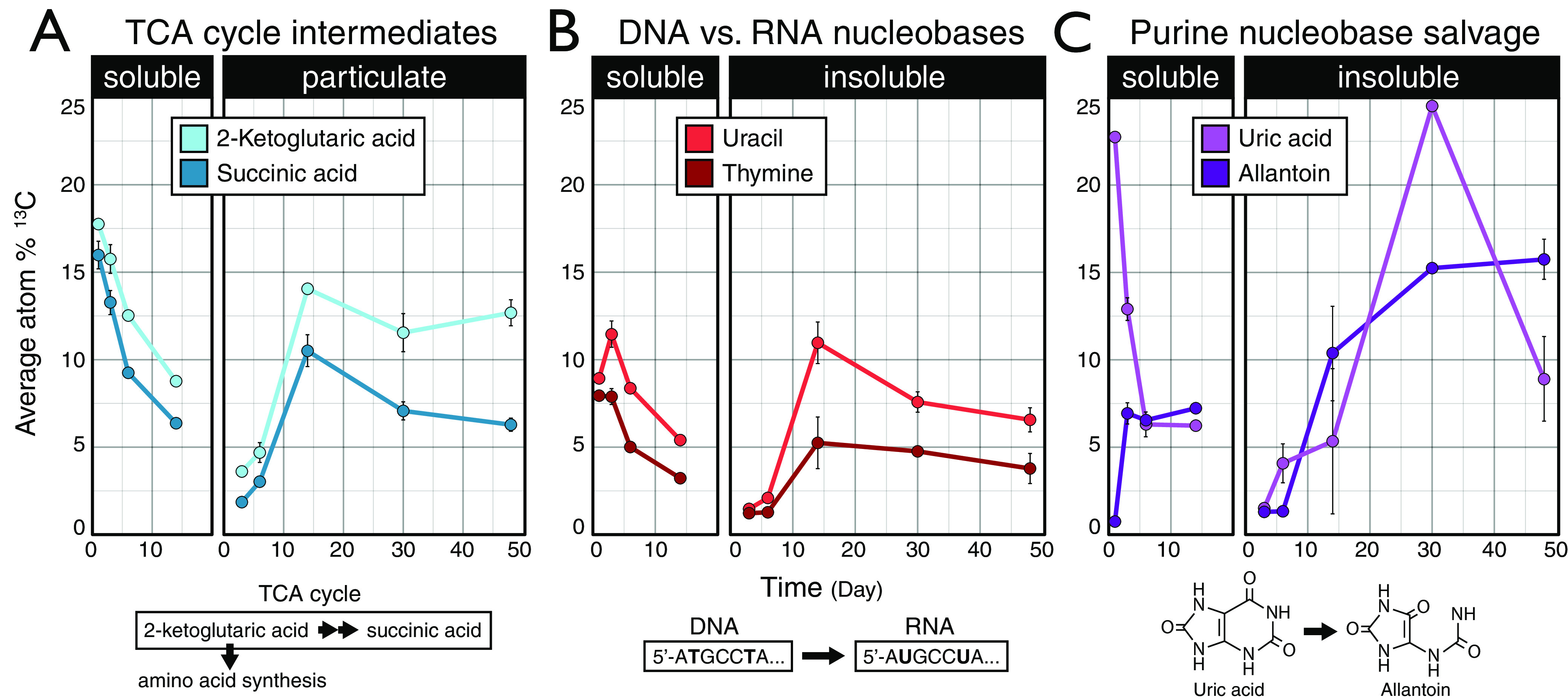 FIG 6