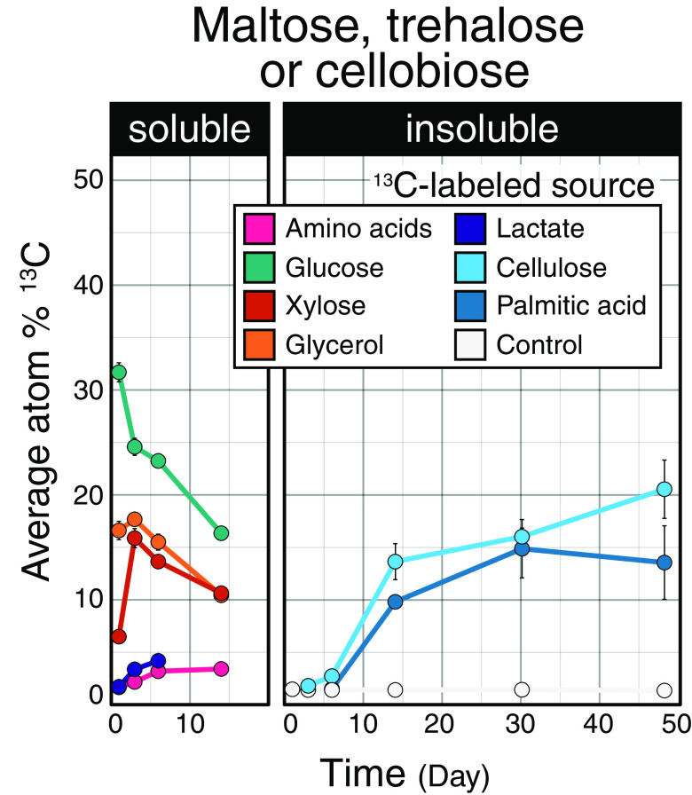 FIG 5